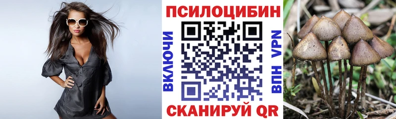 мега вход  Тюкалинск  Псилоцибиновые грибы прущие грибы  хочу наркоту 
